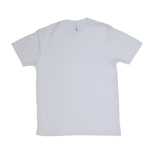 โจ๐๐ฅ Custom DTF Shirt ๐ฅ๐โจ
