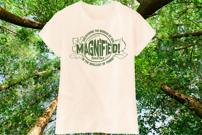 🔍🌟 VBS: MAGNIFIED 🌟🔍