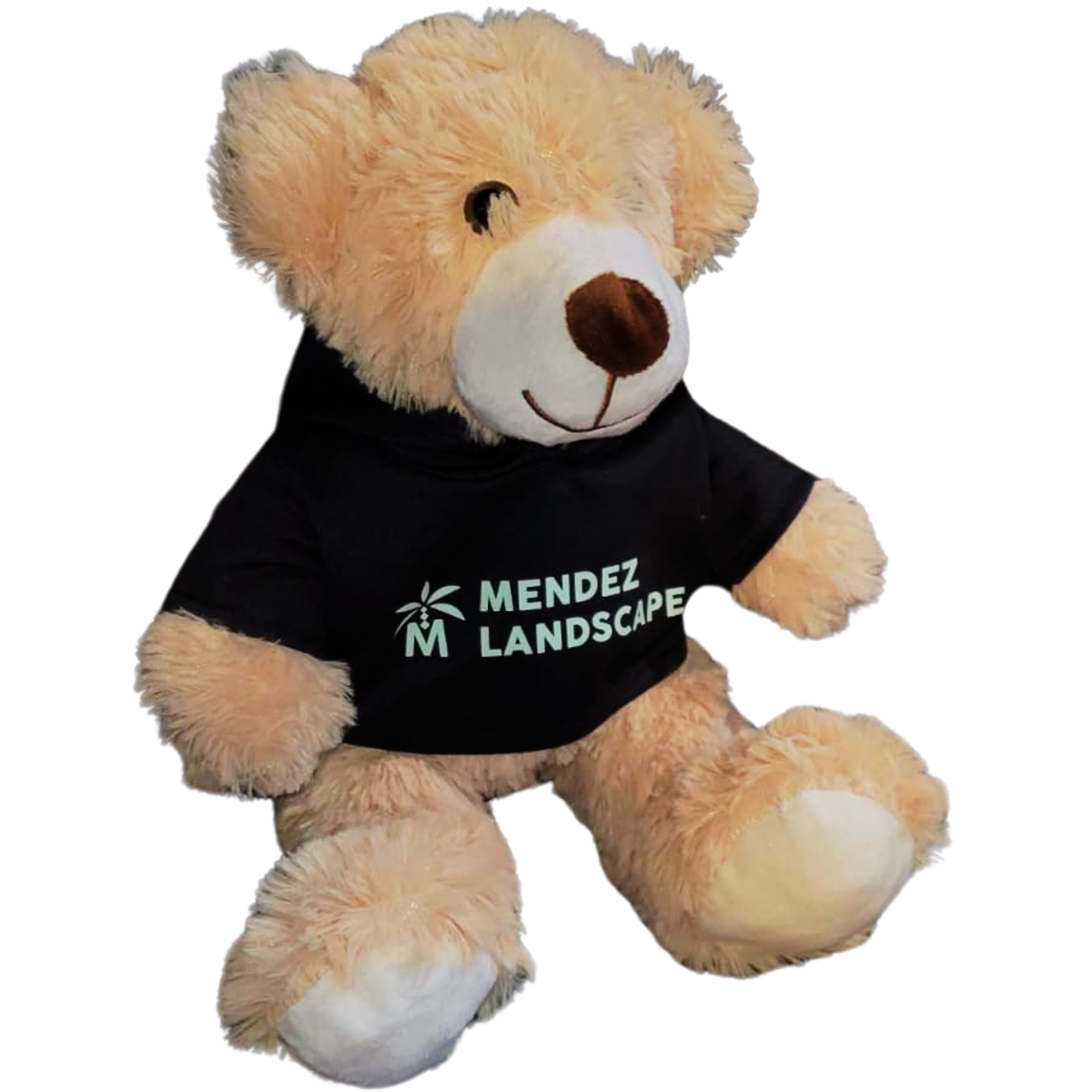 🧸 Custom Teddy Bear🧸