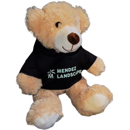 🧸 Custom Teddy Bear🧸